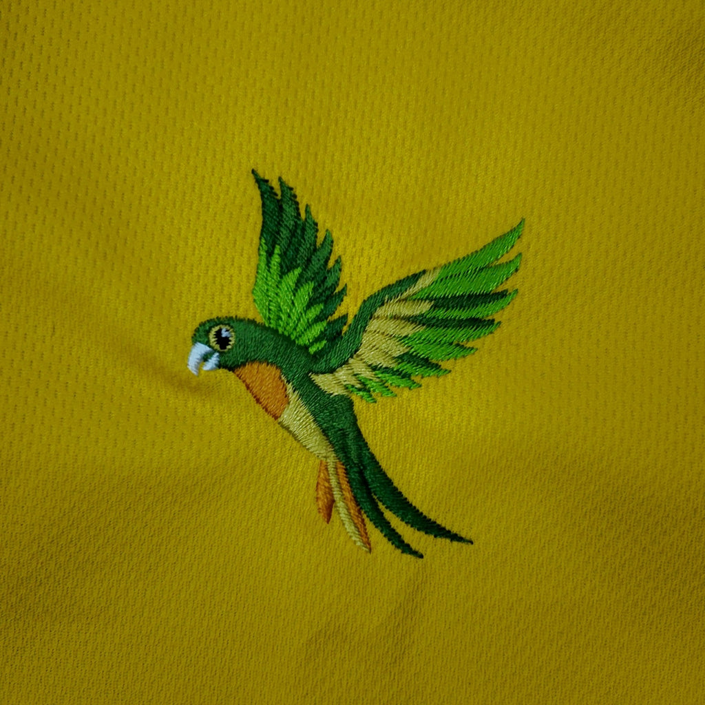 Brasil Vezture shirt