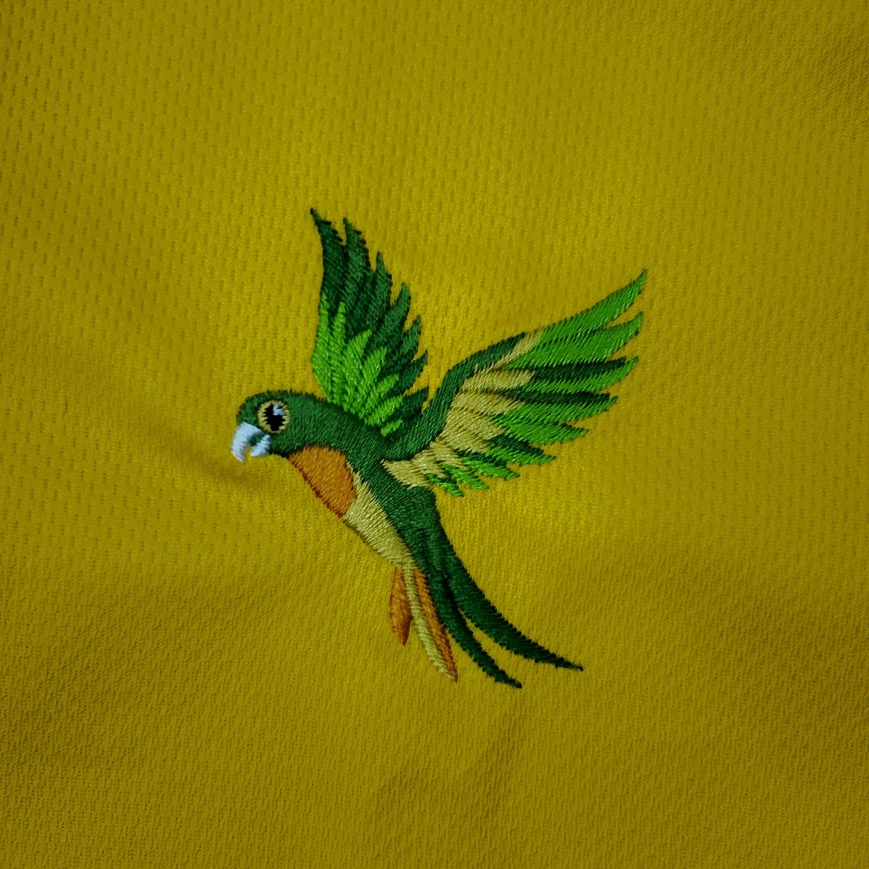 Brasil Vezture shirt