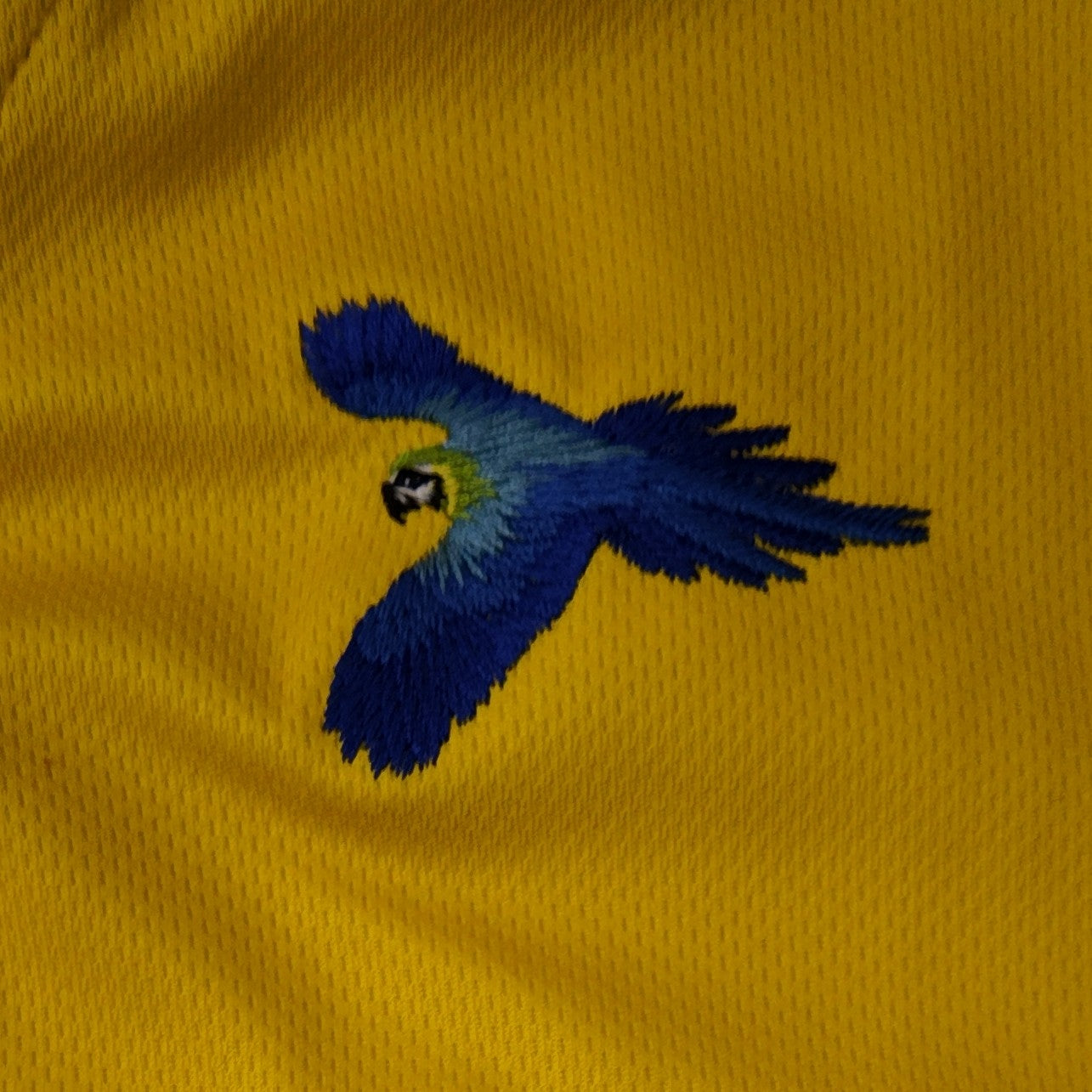 Brasil Vezture shirt