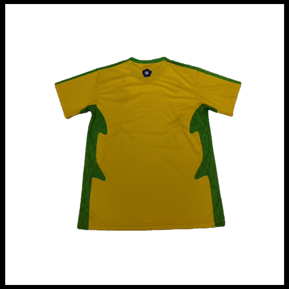 Brasil Vezture shirt